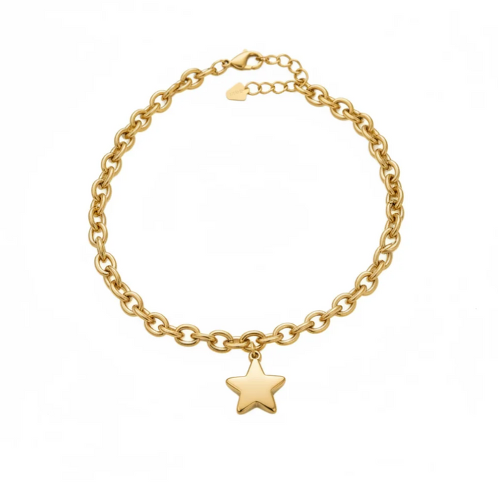 STAR NECKLACE 💧
