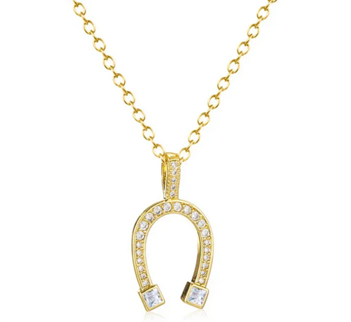 HORSESHOE NECKLACE 💧